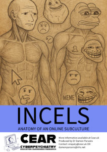 Front page of educational leaflet titled "Incels: Anatomy of an Online Subculture," examining incel ideology, blackpill beliefs, and the evolution of the incel community.